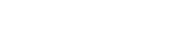 The Road Home